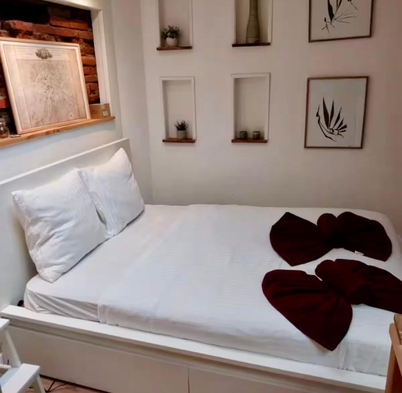 Duplex Au Coeur De Toulouse